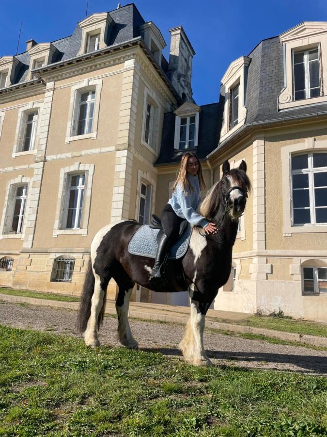 Chateau De La Bouchatte Chambre Les Roses Chazemais Екстер'єр фото